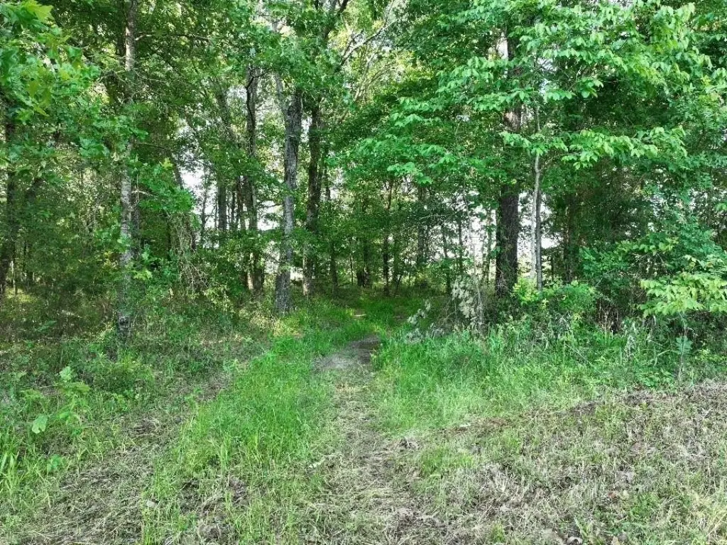 Picture 19