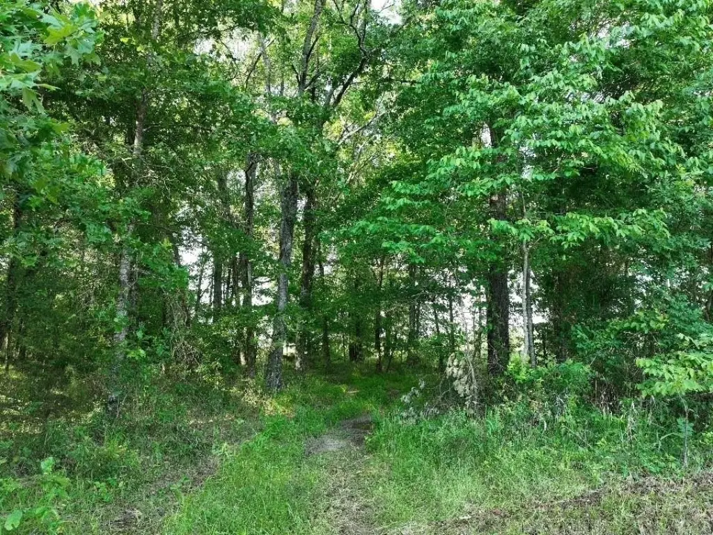 Picture 18