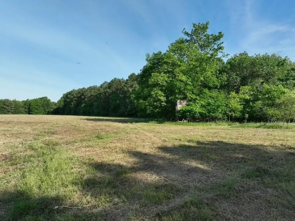 Picture 11