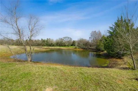 Caldwell, TX: 44+ Acre Tract