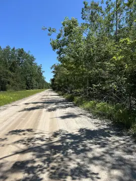 Land Near Mullett Lake