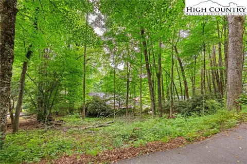 Buildable Lot in Lake View