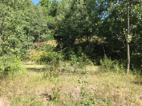 Buildable Acre Near White River