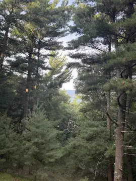 Lake Michigan View Lot