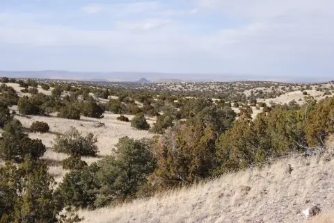Land in Pinon Springs Subdivision