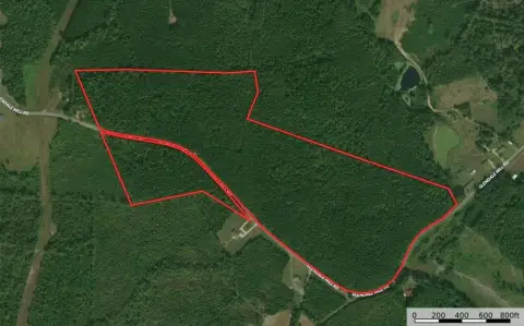 60 Acres of Timberland