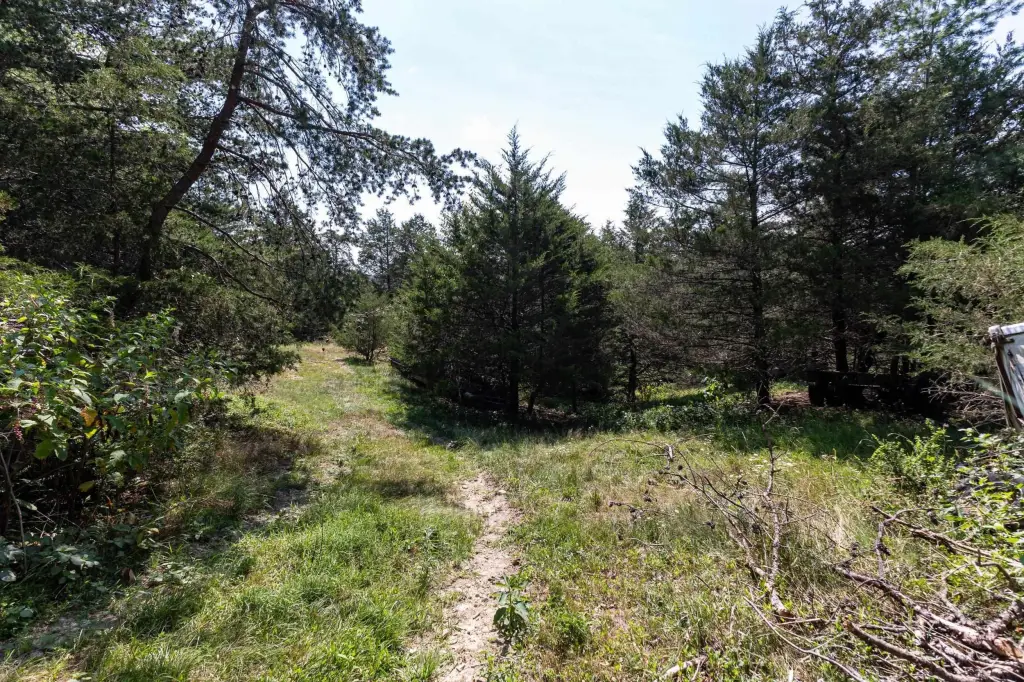 Picture 19