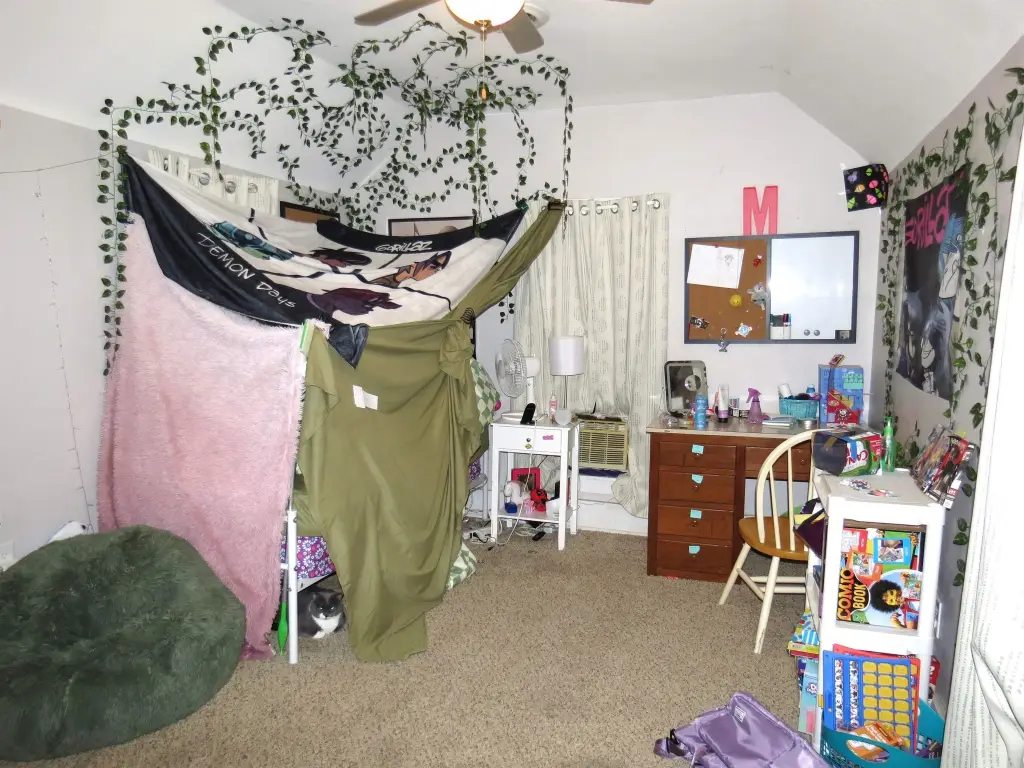 Picture 11