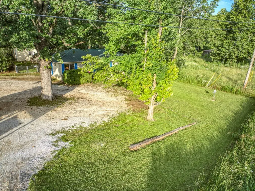 Picture 10