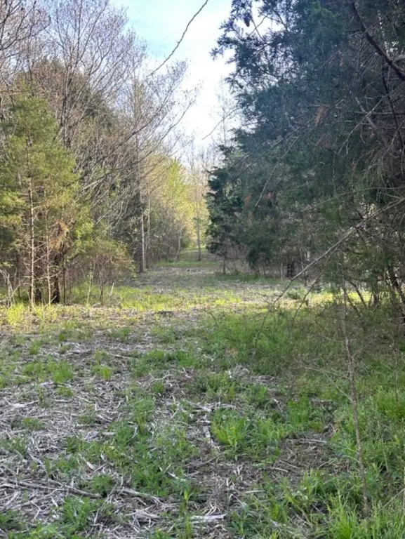 Picture 4