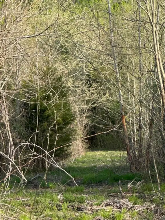 Picture 12