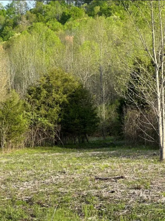 Picture 20