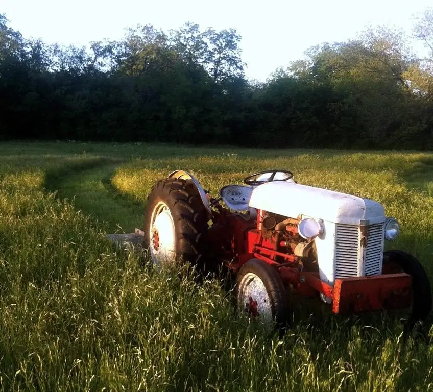 Picture 5