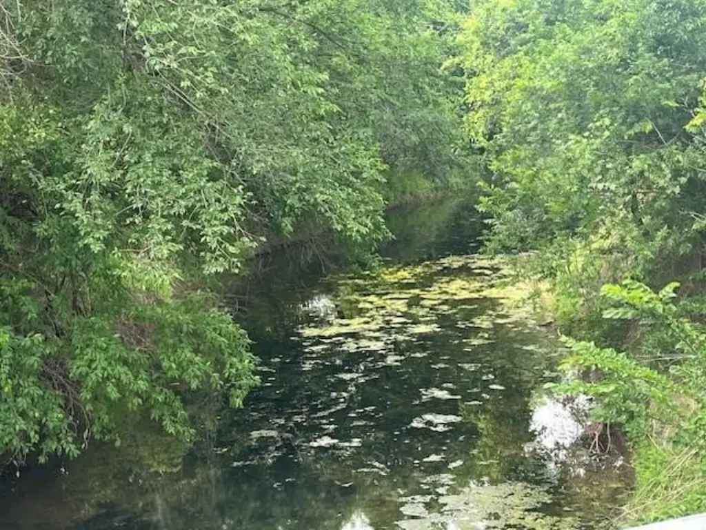 Picture 4