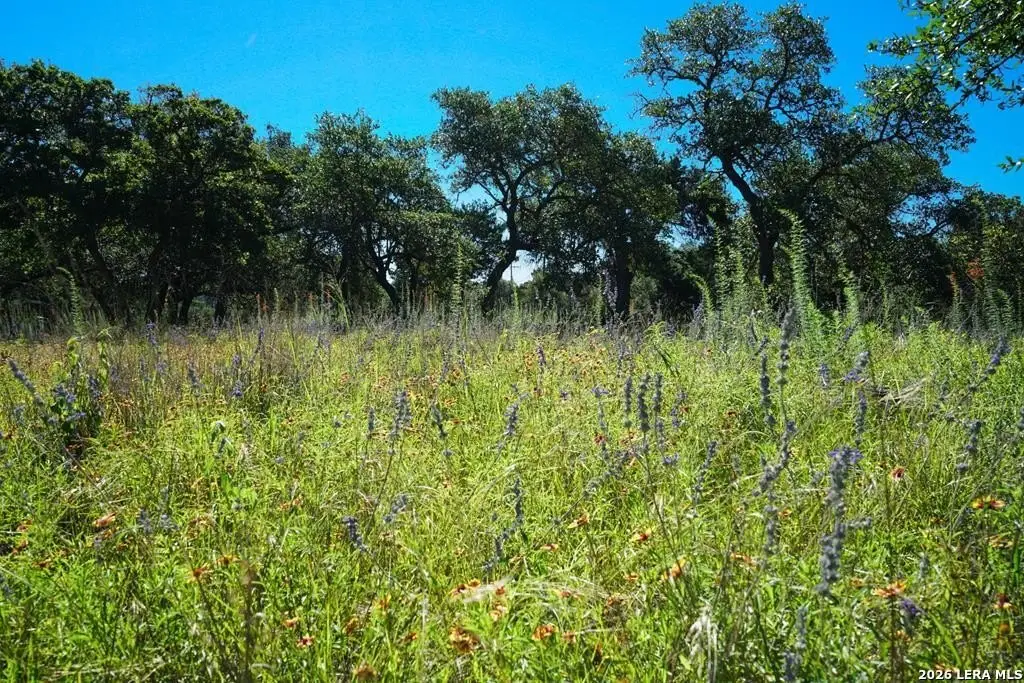 Picture 23