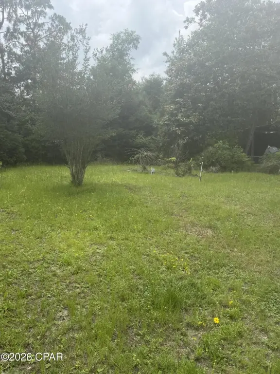Picture 2