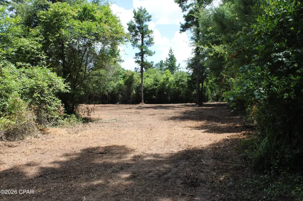Picture 8
