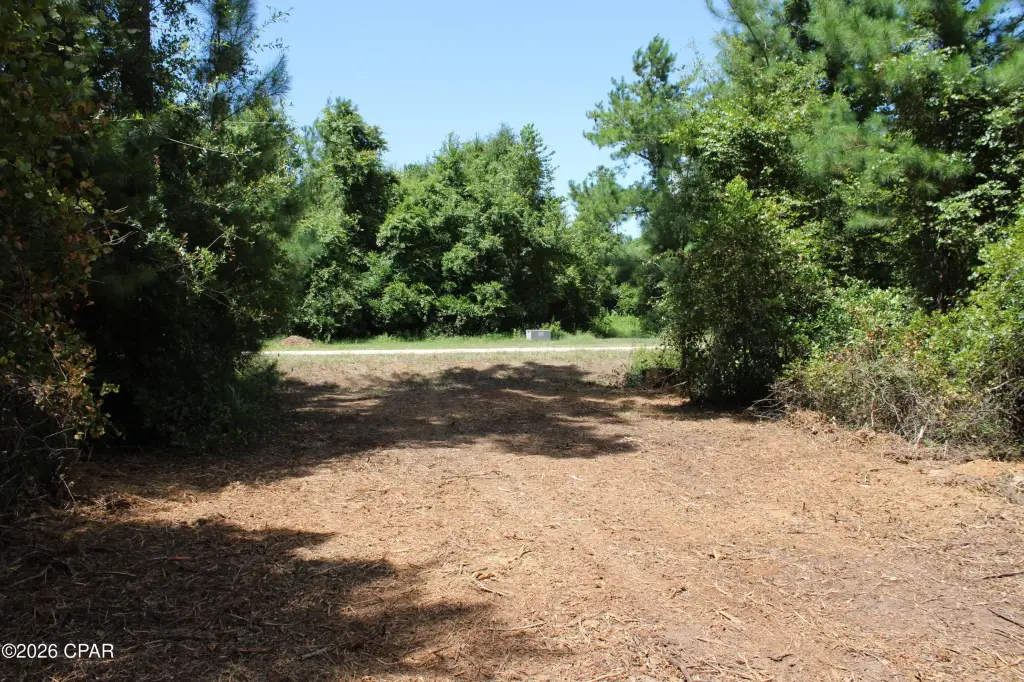 Picture 9