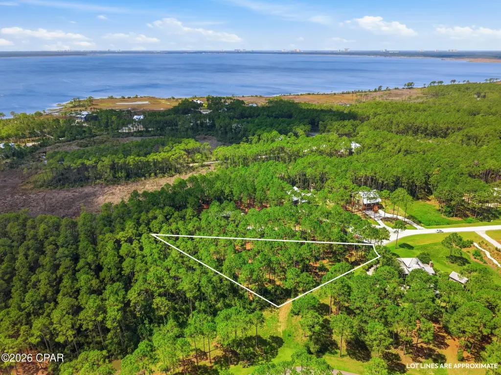 Picture 2