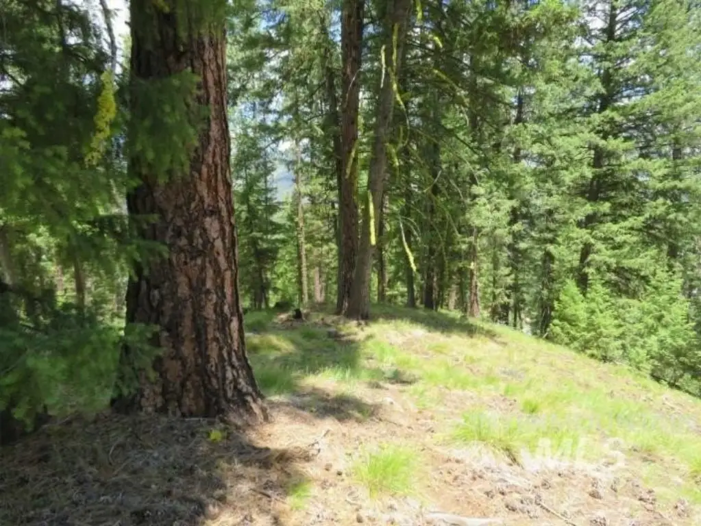 Picture 10