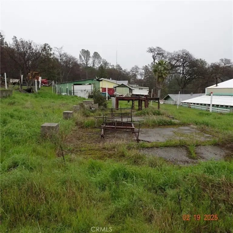 Picture 5