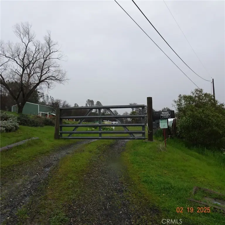 Picture 13
