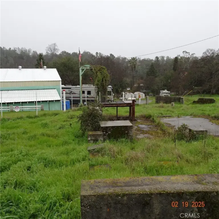 Picture 7