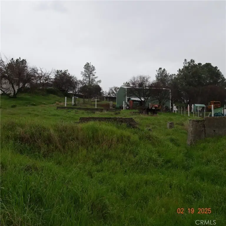 Picture 3