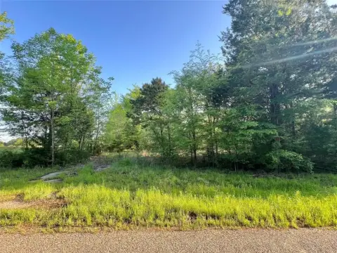 Land in Harts Bluff ISD