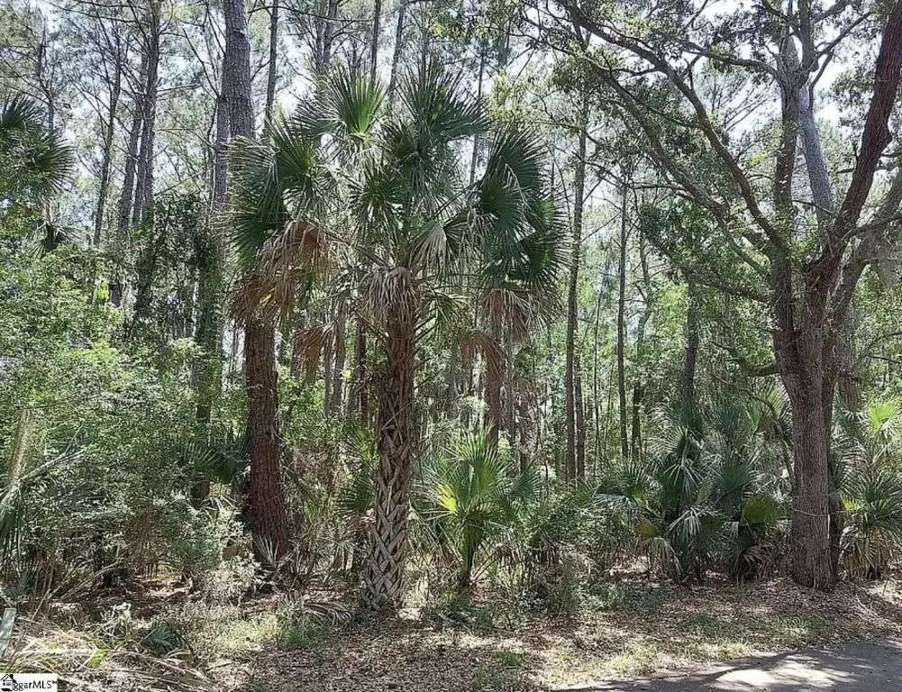 Picture 11