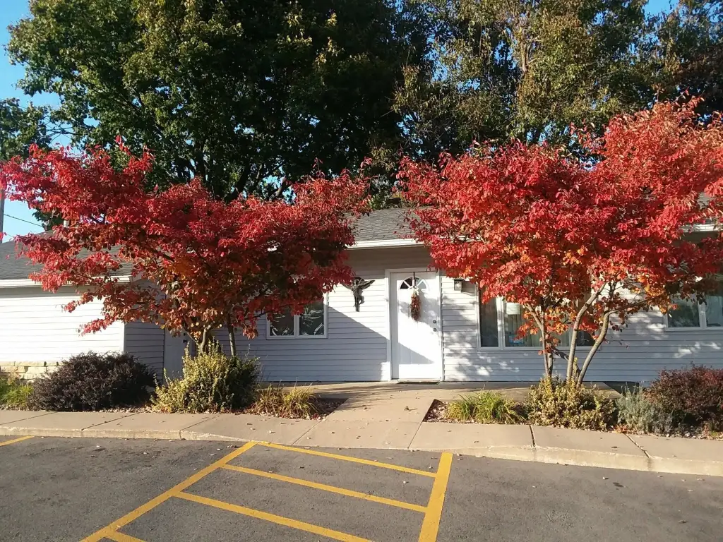 Picture 7