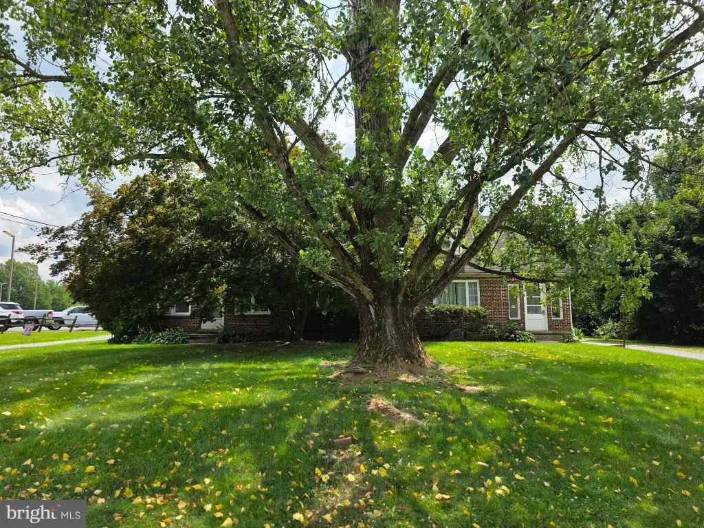 Picture 46
