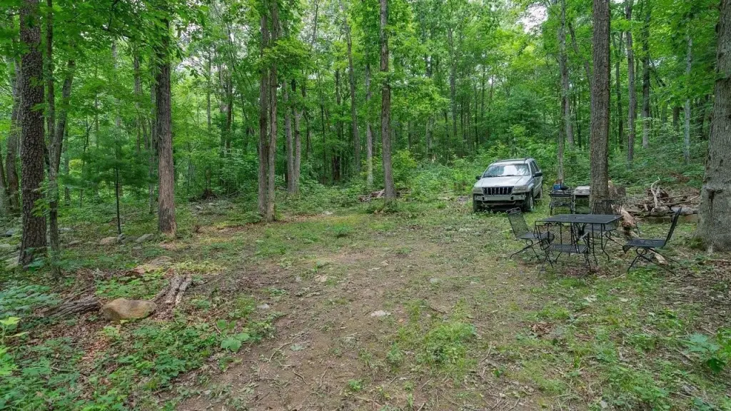 Picture 13