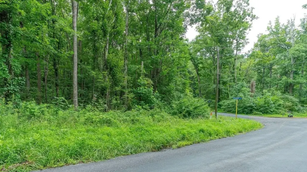 Picture 22
