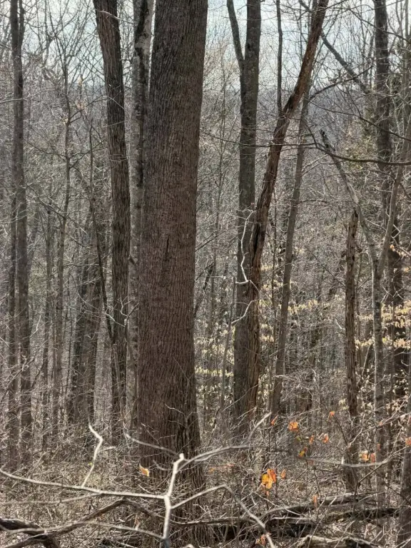 Picture 14