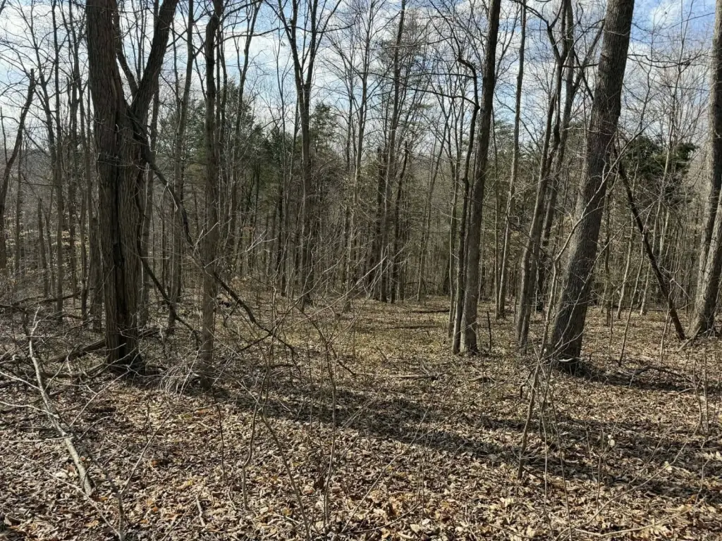 Picture 12