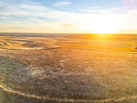 Ellis County Vacant Land Opportunity