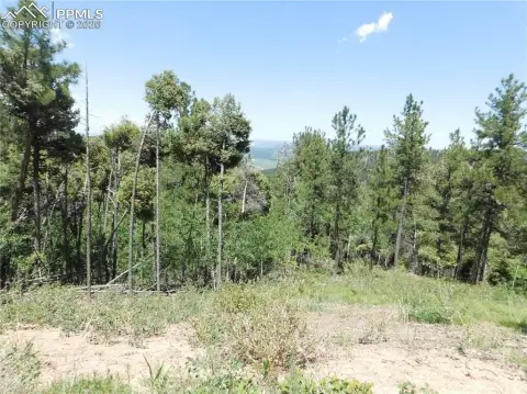 Larkspur Ready-to-Build Mountain Lot