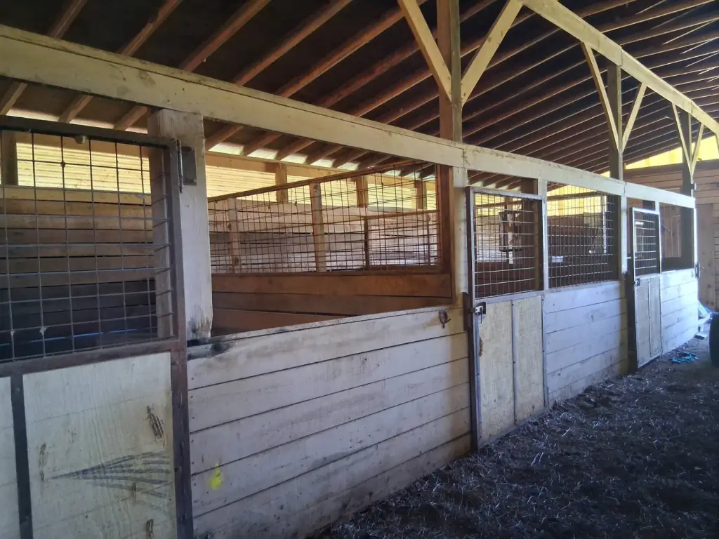 Picture 13