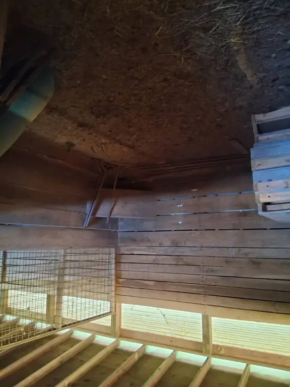 Picture 11