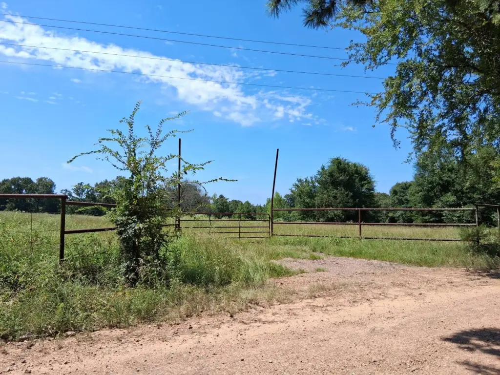Picture 26