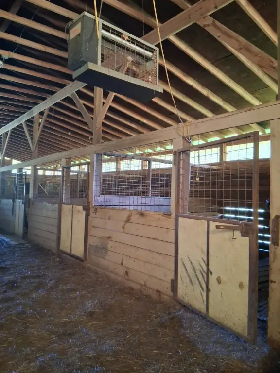 Picture 12
