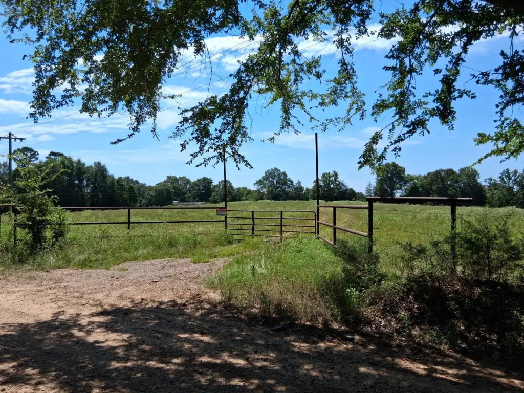 Picture 25