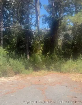 Recreational Land in Fayetteville, NC