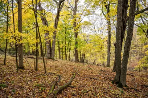 Dutch Hollow Lake Building Lot