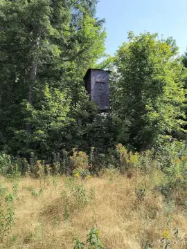 348 Acres Hunting Retreat, Ironwood