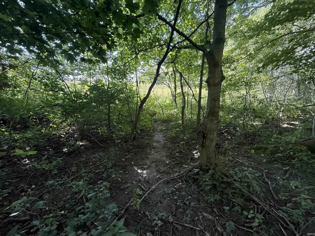 Picture 27