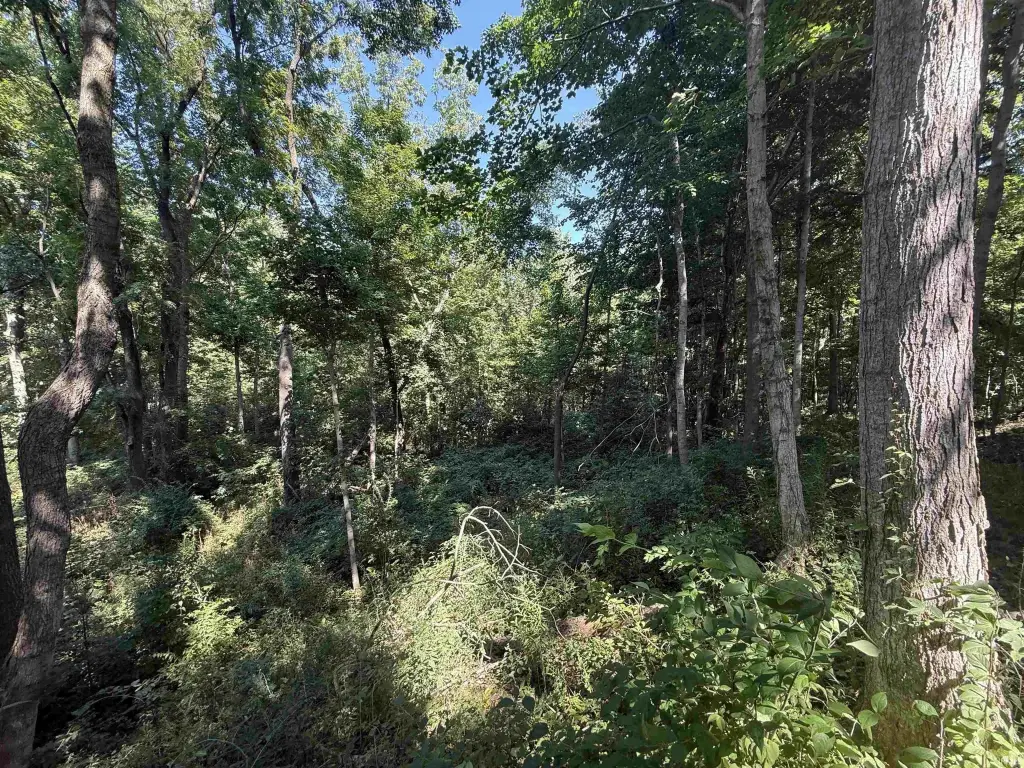 Picture 29