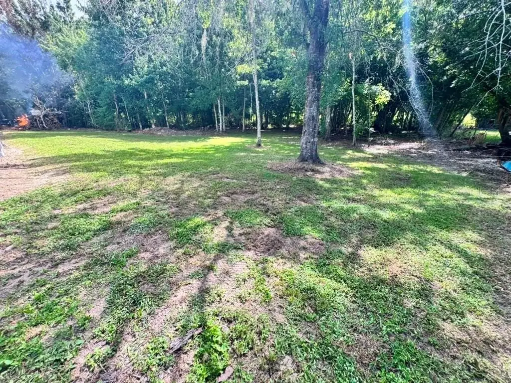 Picture 5