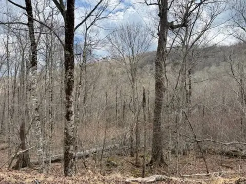 Vacant Land in Sugar Mountain